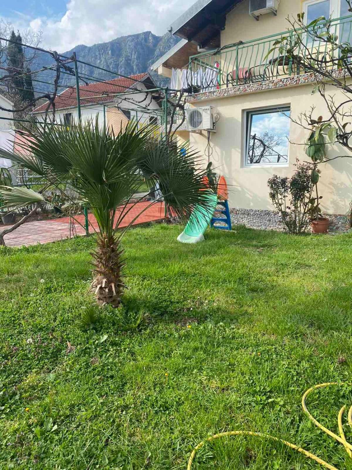 Apartmani Zelenika Herceg Novi Ruang foto